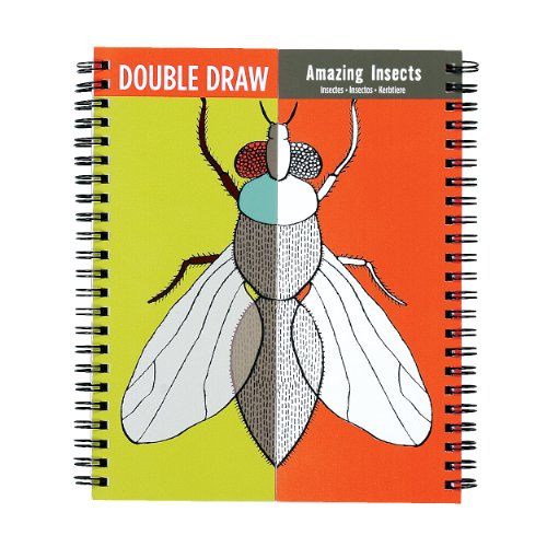 Drawing Book Double Draw Insects