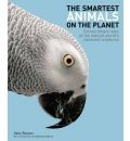 Smartest Animals on the Planet
