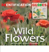 Wild Flowers Identification Guide