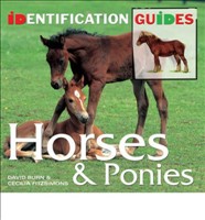 Horses and Ponies Identification Guide