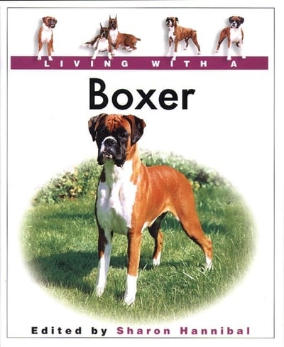 LIVING WITH A BOXER