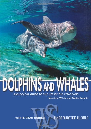 DOLPHINS AND WHALES