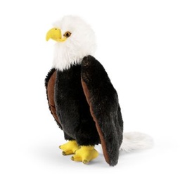 [5037832322289] Bald Eagle Living Nature