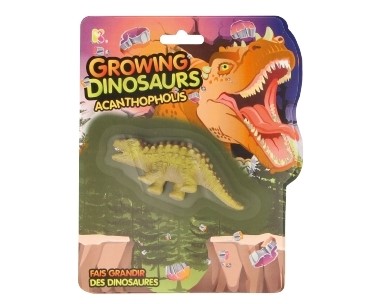 Growing Dinosaurs Acanthopholis
