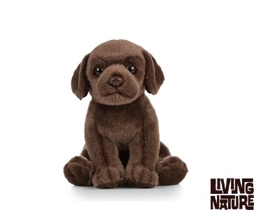 Plush Chocolate Labrador Baby