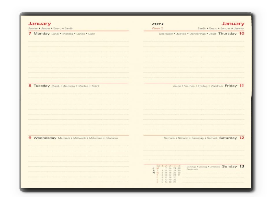 [5390991005319] O'Brien Diary 2027 HP5 A6 (Handy)