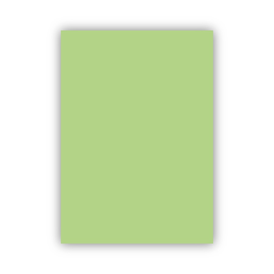 Card light green 50x70cm 160g Adel
