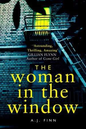 [9780008234164] The Woman in the Window