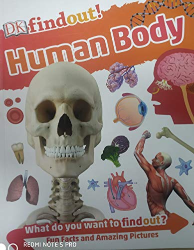 [9780241363935] [N/A] DK Findout! Human Body