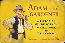 Adam the Gardener (Hardback)