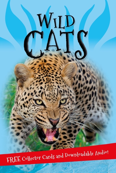 [9780753441527] It's all About Wild Cats