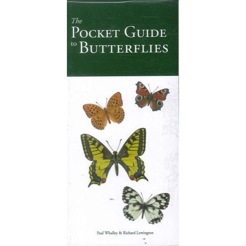 [9780753718360] POCKET GUIDE TO BUTTERFLIES