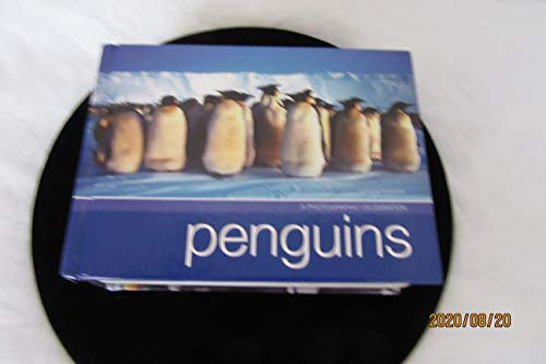 PENGUINS A PHOTOGRAPHIC SELEBRATION