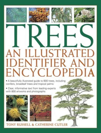 [9780857237651] Trees An Illustrated Identifier and Encyclopedia (Hardback)