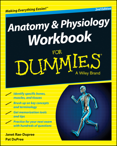Anatomy AND Physiology Workbook for Dummies, 2nd Edition
