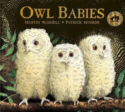[9781406374377-new] Owl Babies