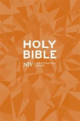 Holy Bible NIV