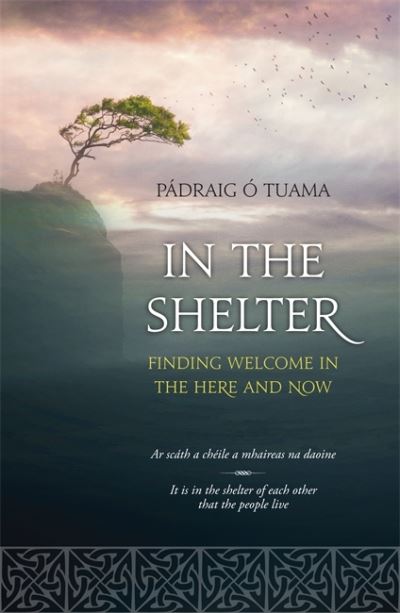In The Shelter (Finding Welcome In The Here and Now)