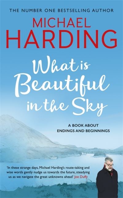 What is Beautiful in the Sky A book about endings and beginnings
