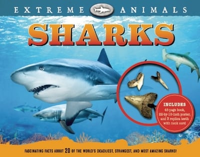 Sharks Extreme Animals