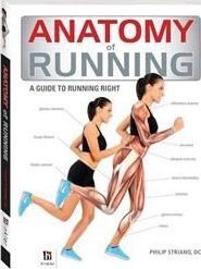 Anatomy of Running