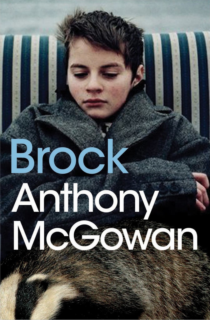 [Replaced by 9780008739034] [O/P] Brock (Teen)