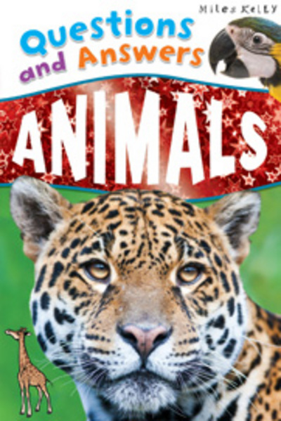 [9781782094715] Animals (Questions and Answers) (Paperback)
