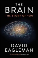 Brain, The The Story of You