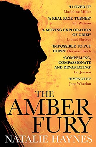 [9781782392781] Amber Fury