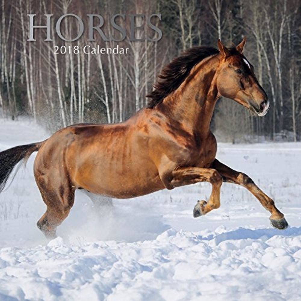 Calendar 2018 Horses