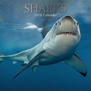 Calendar 2018 Sharks