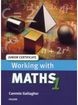 WORKING WITH MATHS 1