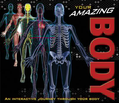 [9781844420117] YOUR AMAZING BODY
