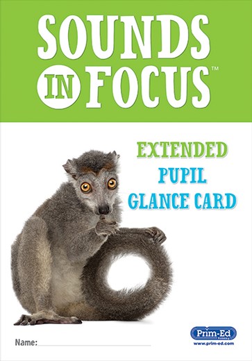 Sounds in Focus Extended Pupil Glance Card