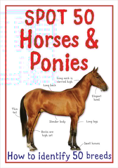 SPOT 50 HORSES AND PONIES