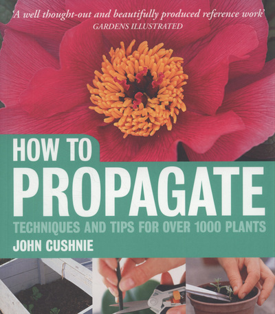 How to Propagate Techniques and Tips for Over 1000 Plants (Paperback)