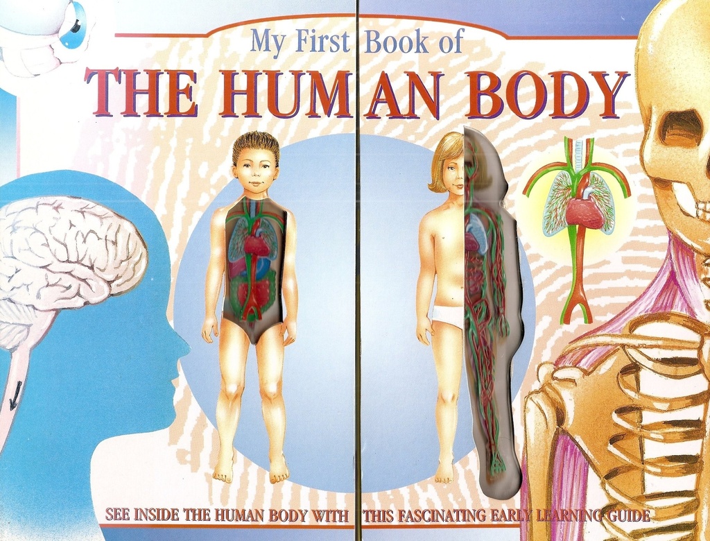 [9781858303772] MY FIRST BOOK OF THE HUMAN BODY