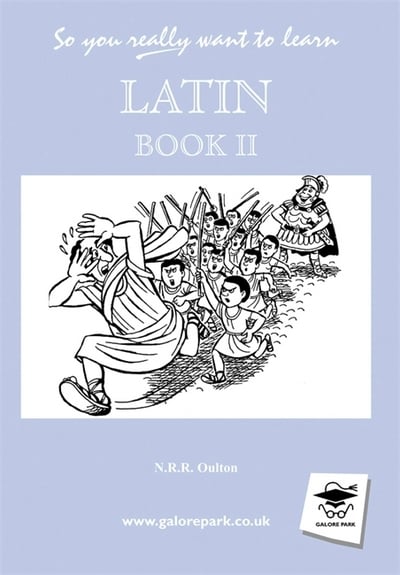 [9781902984018] SO YOU REALLY WANT TO LEARN LATIN BK II