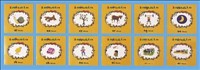 Jolly Phonics Read and See Pack 2 (12 titles) JL408