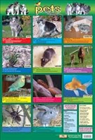 POSTER PETS
