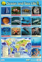POSTER OCEAN AND SEA LIFE