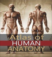 Atlas of Human Anatomy