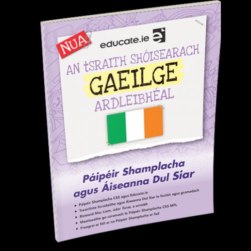 [9781913228200] [OLD EDITION] Educate.ie Irish JC HL Exam Papers