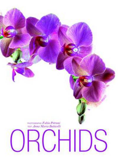 Orchids Images