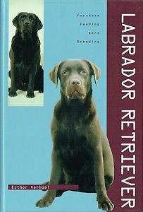 Labrador Retriever Pet Series (Hardback)