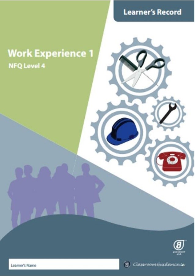 Work Experience 1 Level 4 NFQ Learner's Record
