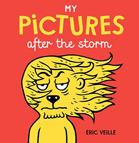 [9781776571048] My Pictures After The Storm