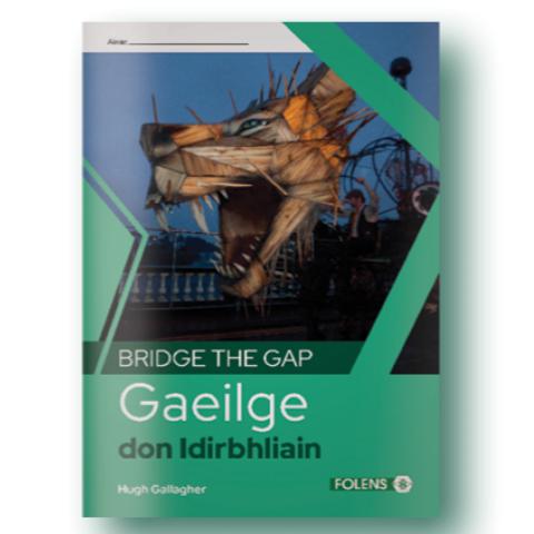 Bridge The Gap Gaeilge