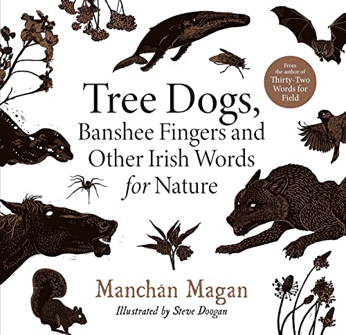 [9780717192557] Tree Dogs Banshee Fingers and Other Irish Words for Nature