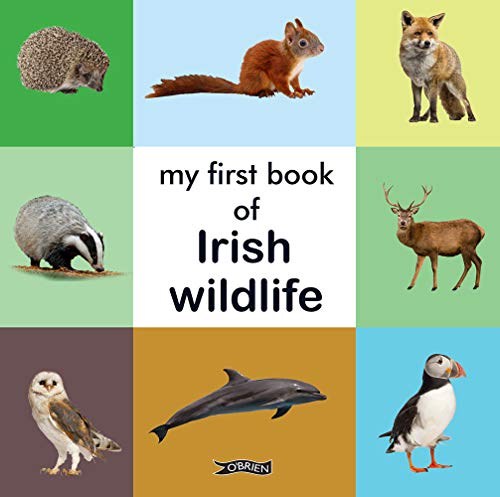 [9781788491655] My First Book of Irish Wildlife